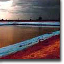 A dam lined with PVC for Stock Water